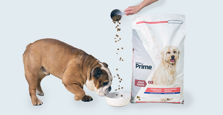 A promotional image for Performatrin Prime dog food featuring a transition from the old packaging to the new design, with the text "Only at Pet Supermarket" and "New Brand & Look, Same Great Formula." The old packaging is on the left and the new packaging is on the right, bulldog is on left